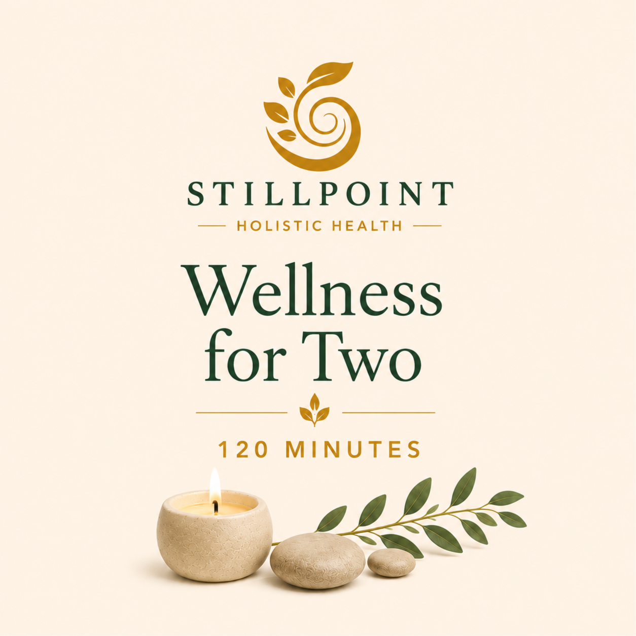 Wellness For Two- 120 Minutes at Stillpoint Holistic Health in Van Buren, ME
