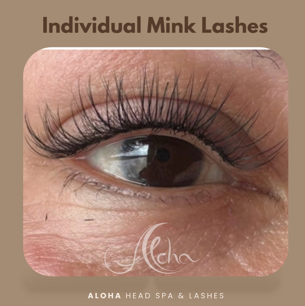 New Set - Natural Lashes