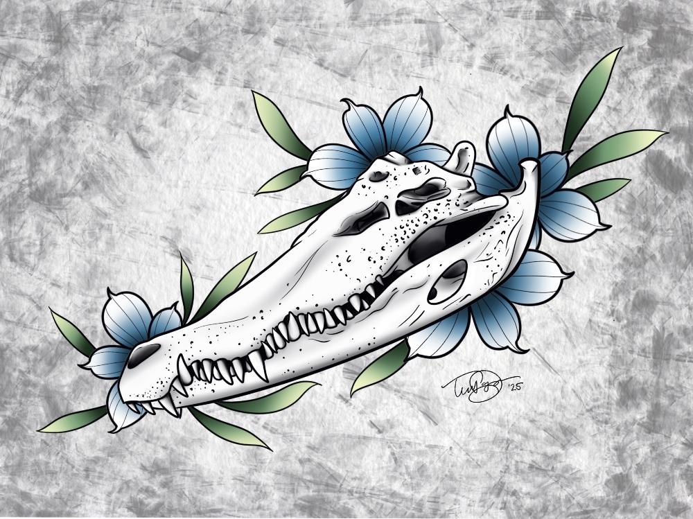 Crocodile Skull