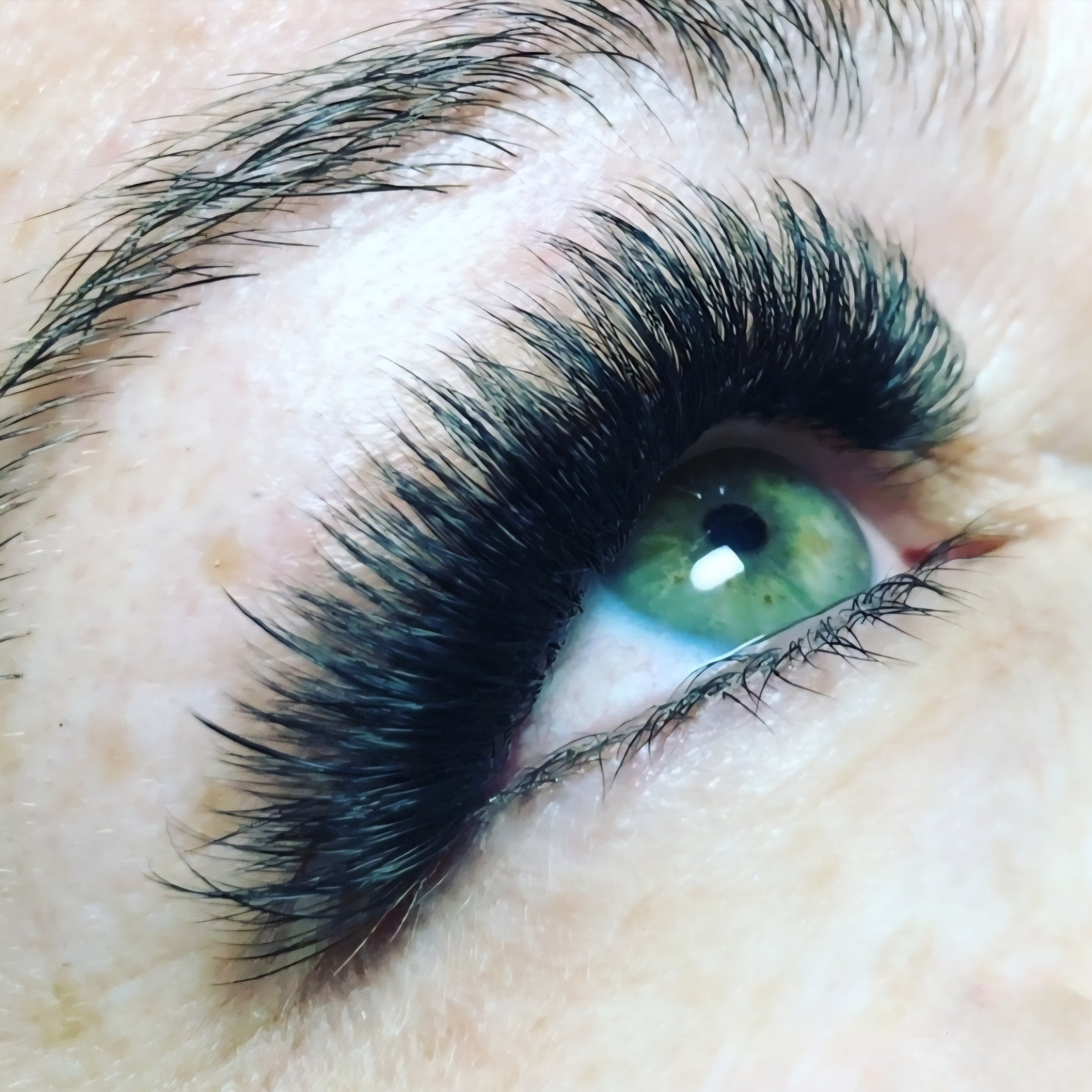 Eyelash Extensions- new set at Salon Lefe in Kalispell, MT