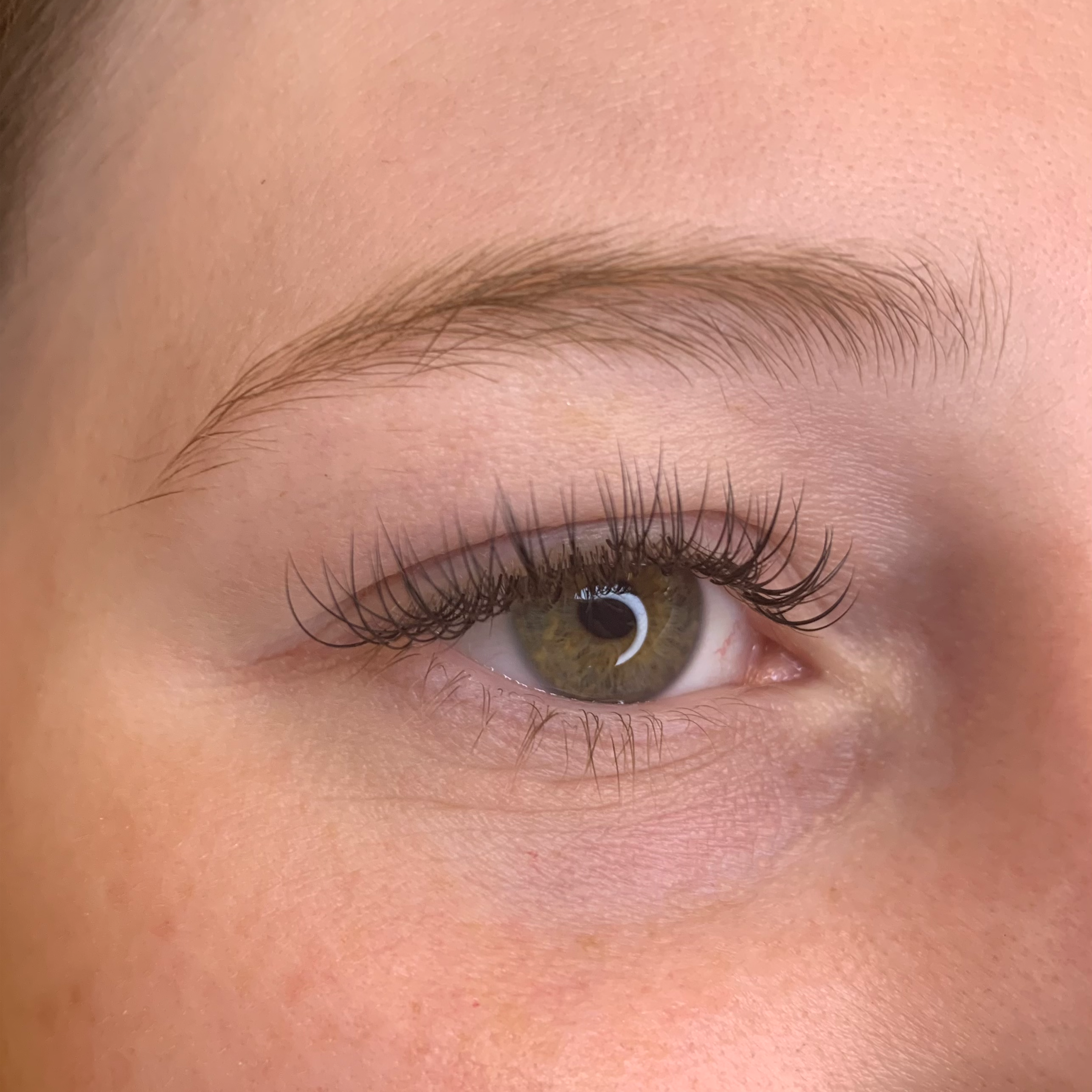 "Classic" Bold New Set of Lashes