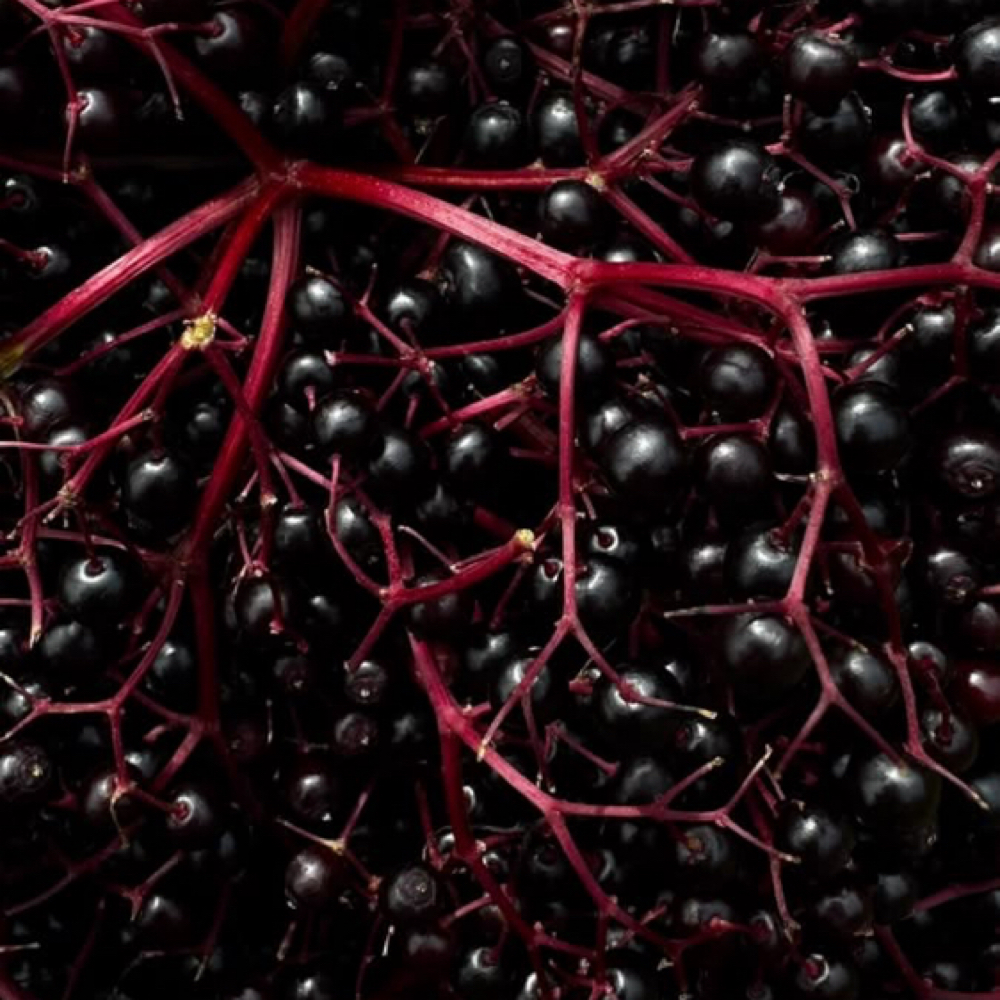 Whipped Elderberry Facial at 333 Esthetics in Grand Junction, CO