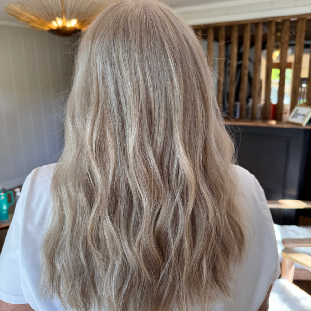 Partial Lowlight And Highlight at Alyson Chaney in Spartanburg, SC
