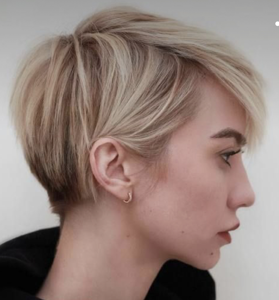 Short Haircut (Male Or Female)