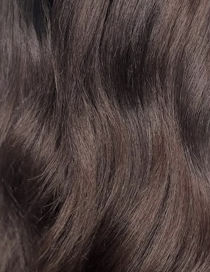 Hair Extension Consultation