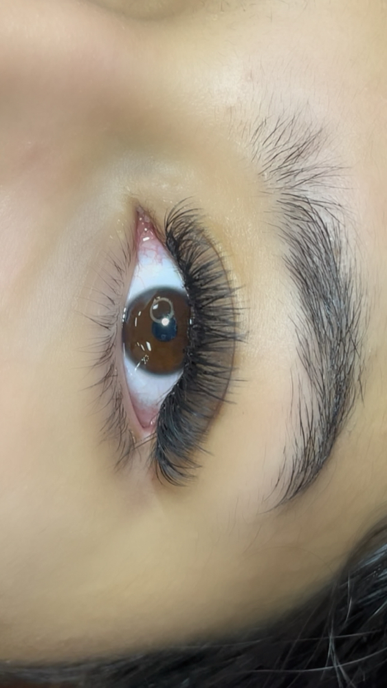 Volume Full Set at Urban Beauty in Boise, ID