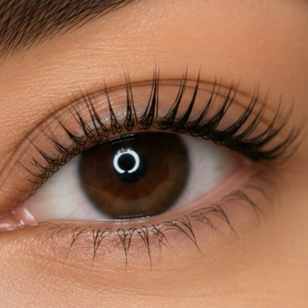 Lash Lift + Tint at THELUXSTUDIO in Bunnell, FL