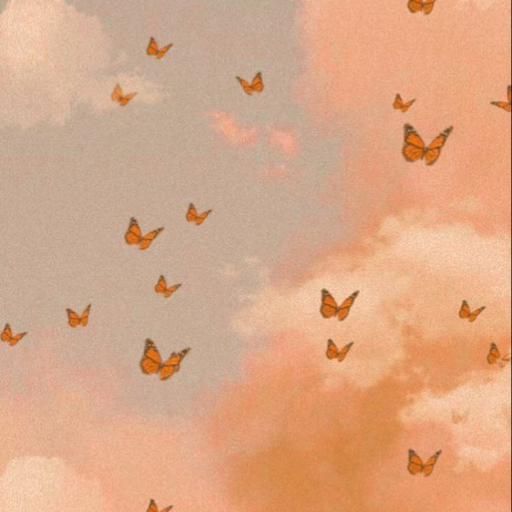 Womens Full Brazilian Wax at Meadowsweet Skin & Lash Spa in Rolling Meadows, IL