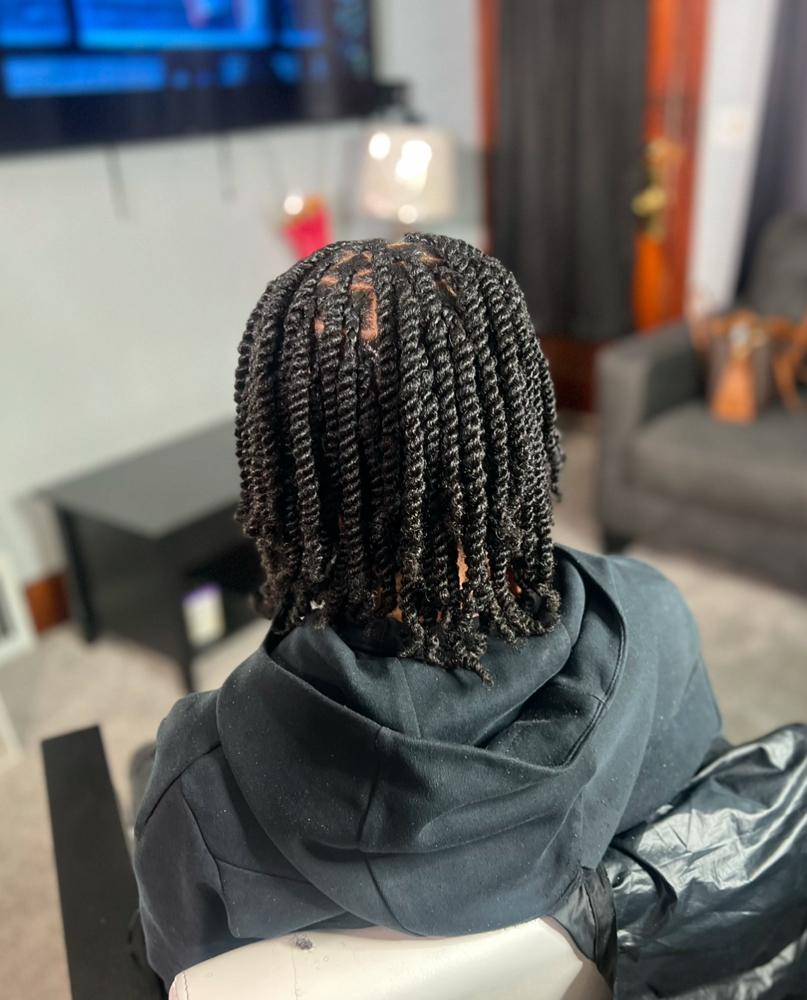 Natural Two Strand Style
