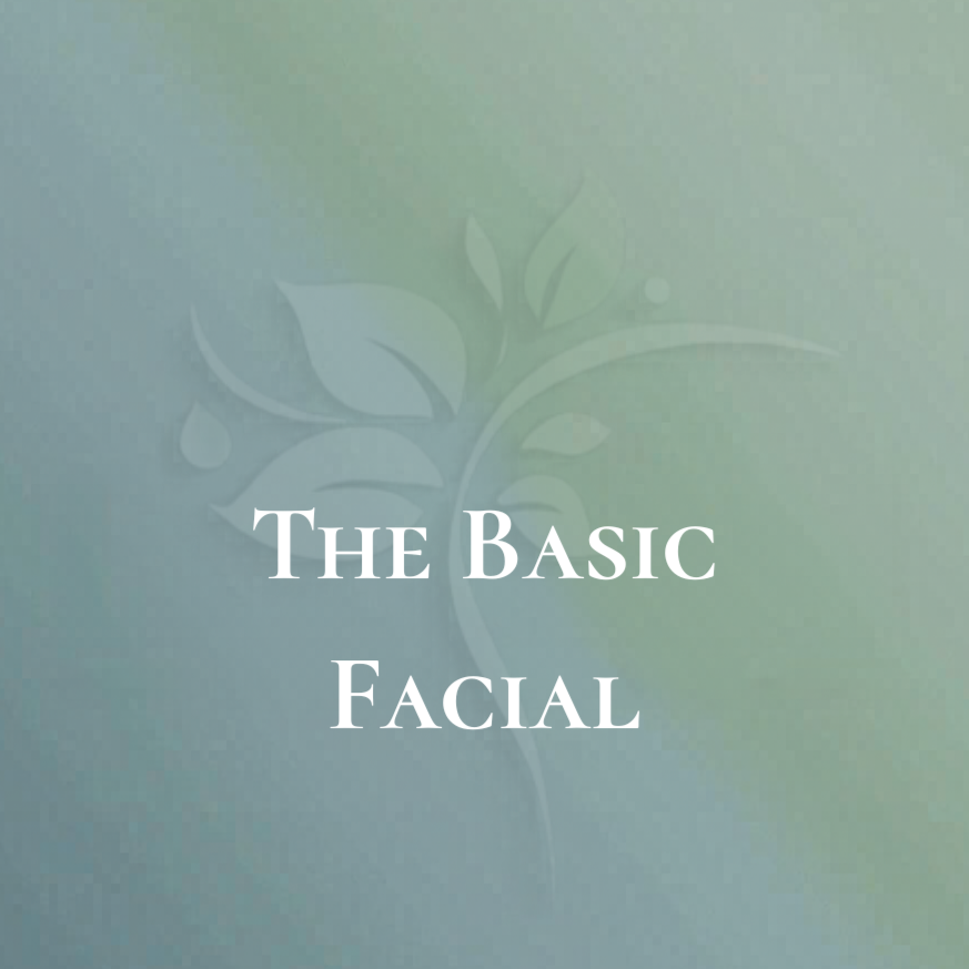 The Basic Facial at Elysian Esthetics Spa in Loganville, GA