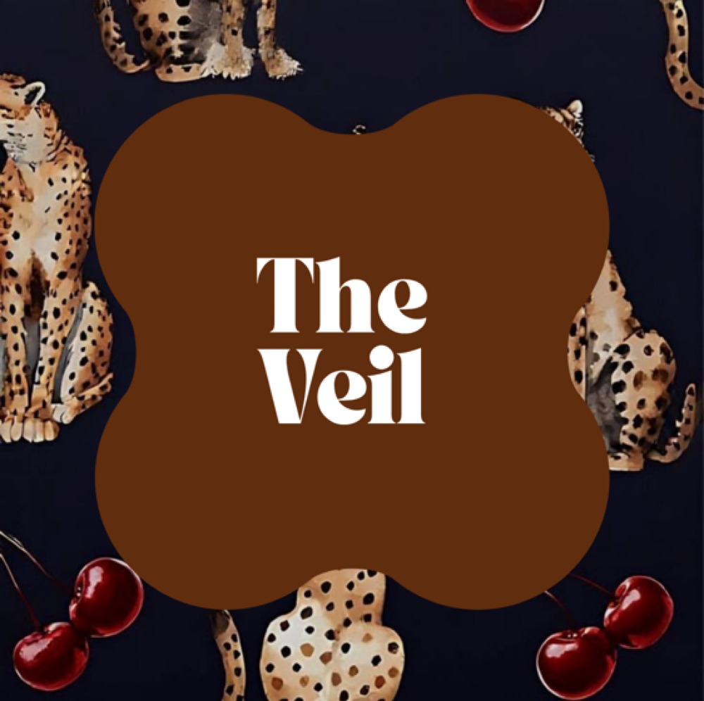 The Viel at Rileycolorschatt in Chattanooga, TN