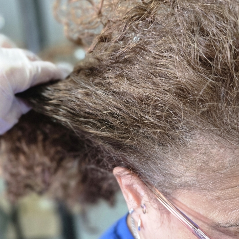 Retoque De Color at Dariolxi's Salon in Springfield, MA