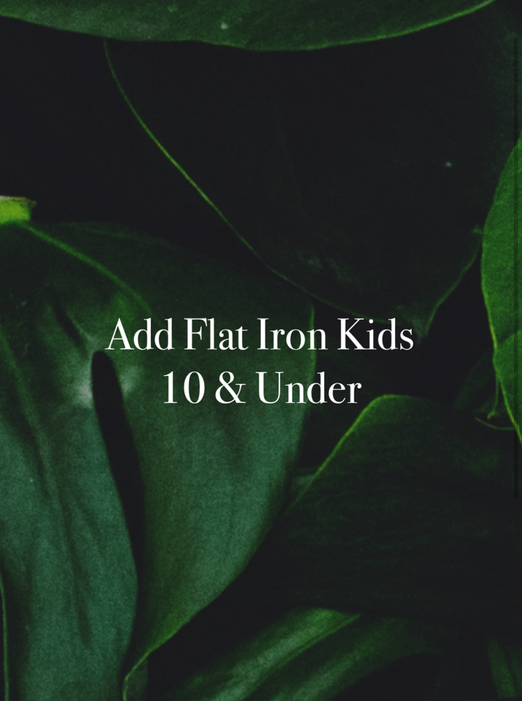 Add Flat Iron Kids 10 & Under at Anestie Beauty Lounge in Franklin Square, NY