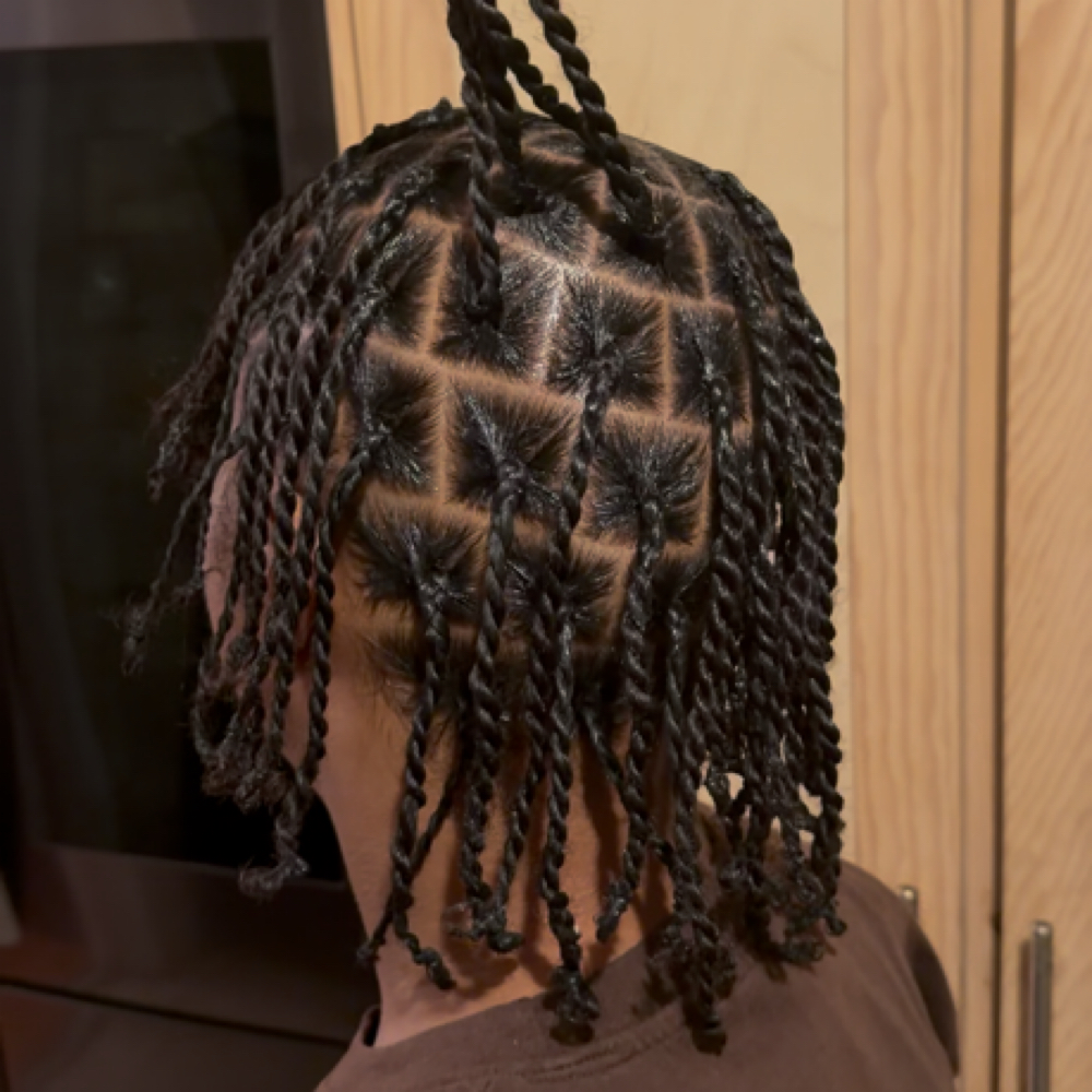 Twists & Individual Braids at CaitsStyles in Inglewood, CA