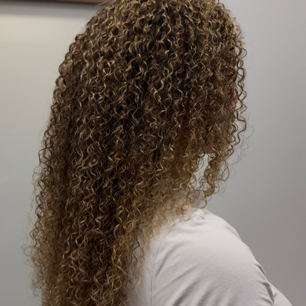 HIGHLIGHT EXPERIENCE