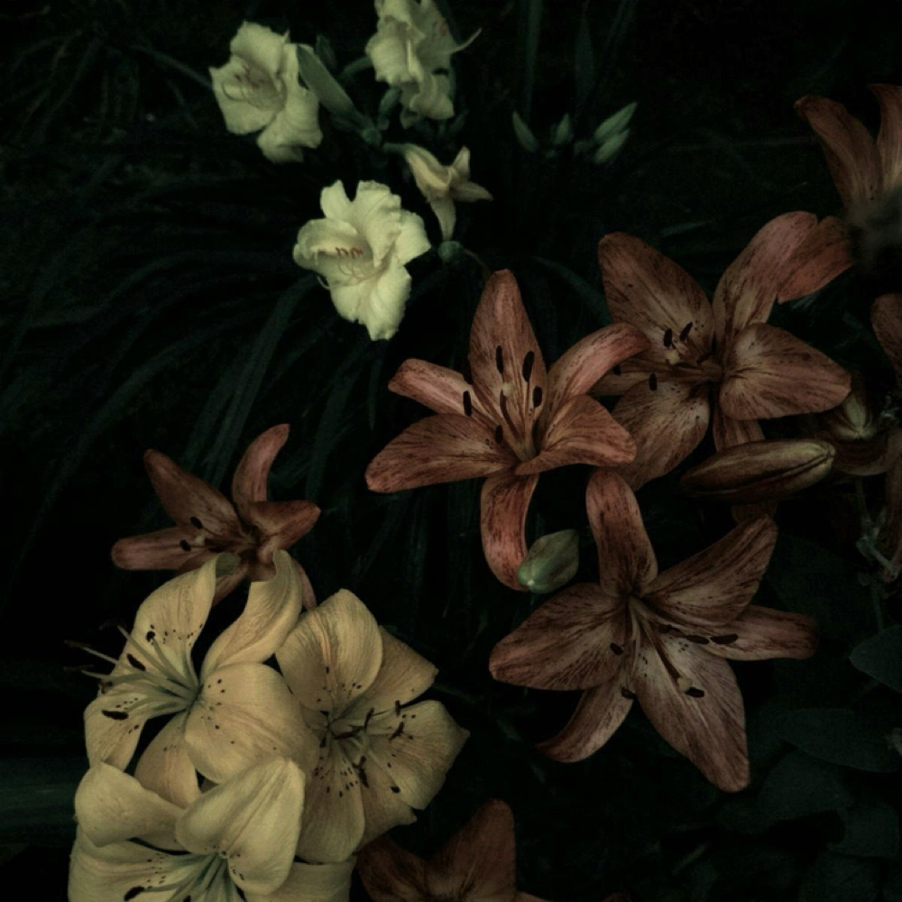 Big Toe Acrylic With Gel at SoHo Nail Lab in Fayetteville, NC