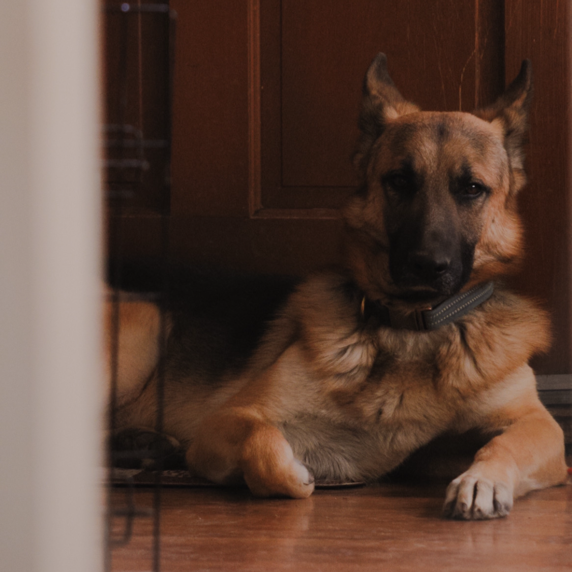 Military/ First Responder