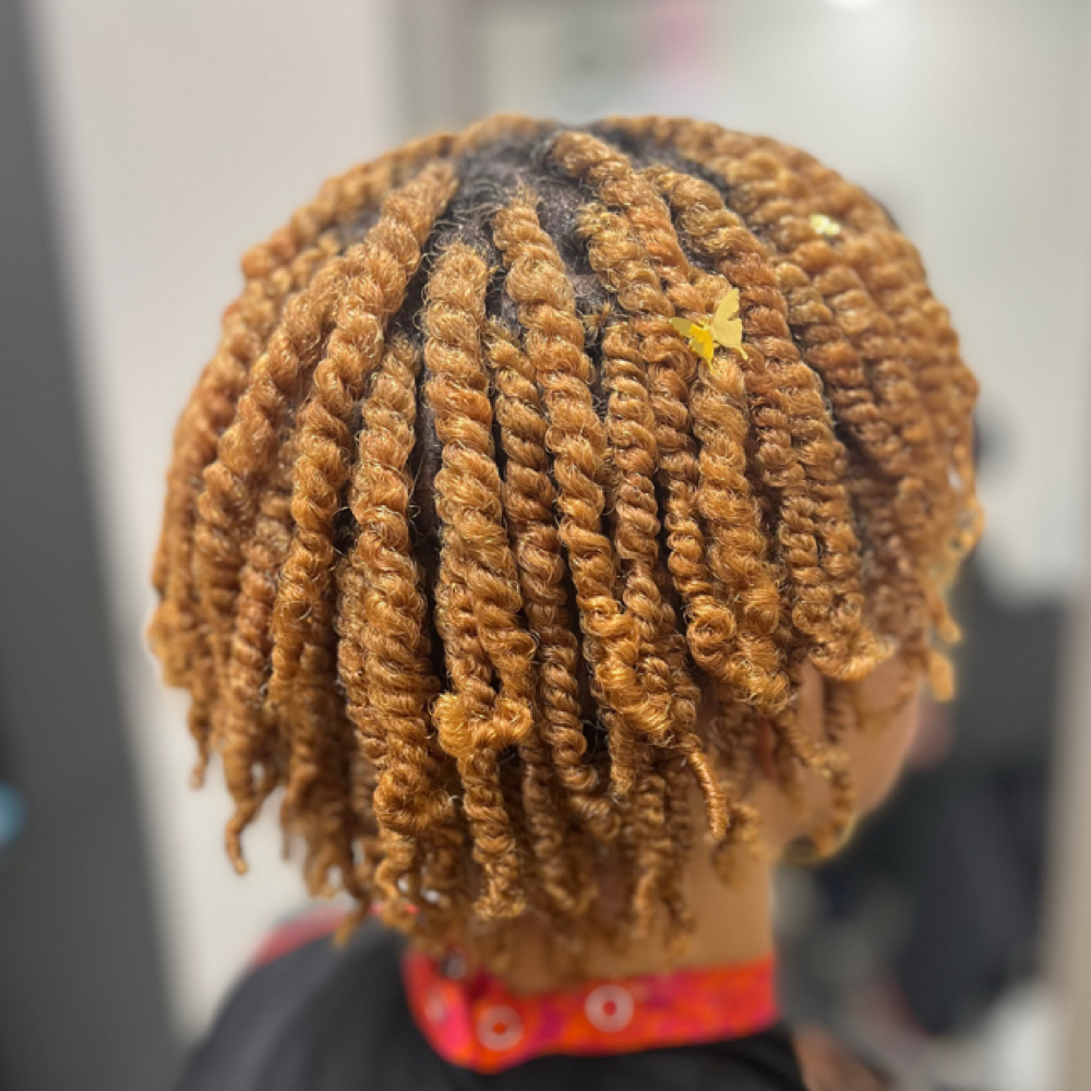 CLE Med 2 Strand Twist Short at Healthy Hair By Sarah in Indianapolis, IN