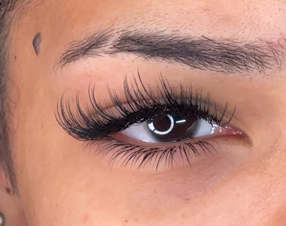 Classic Lashes