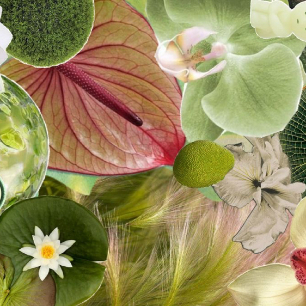 Relaxing Soak Pedi at SoHo Nail Lab in Fayetteville, NC