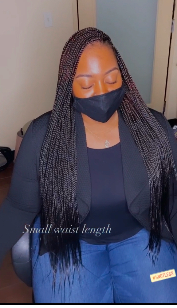 Knotless Braids /small Waist Length