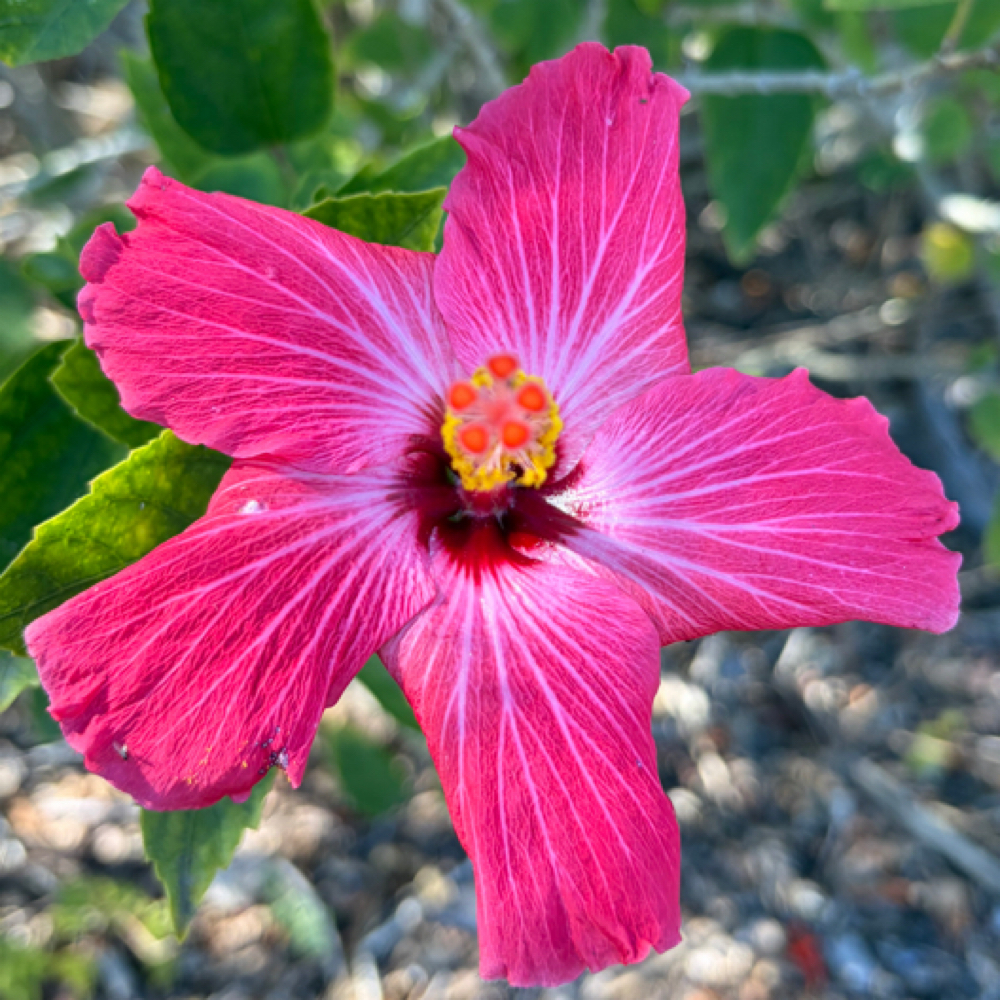 Spring Reset Bundle at Renewed Beauty & Esthetics in Louisville, OH