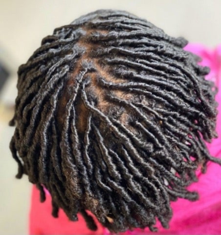Starter Locs