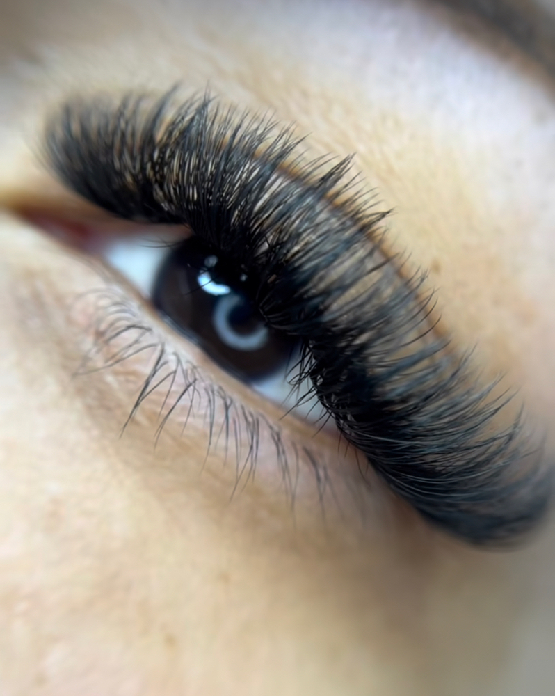 Volume Lashes Refill