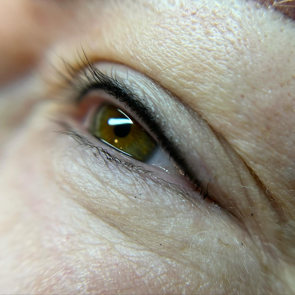 Eye Lash Enhancement 4-6wk Touchup at Mjartistry in Manahawkin, NJ