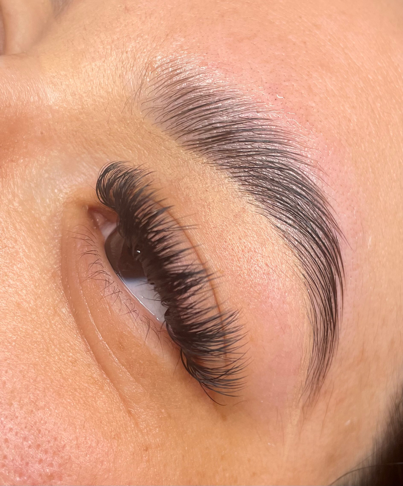 Brow Wax & Tint