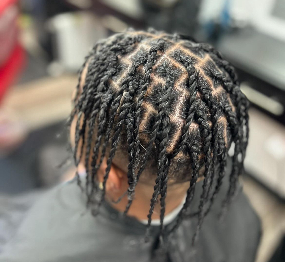 Single Twists/Braids at SimoneSlays in Elyria, OH