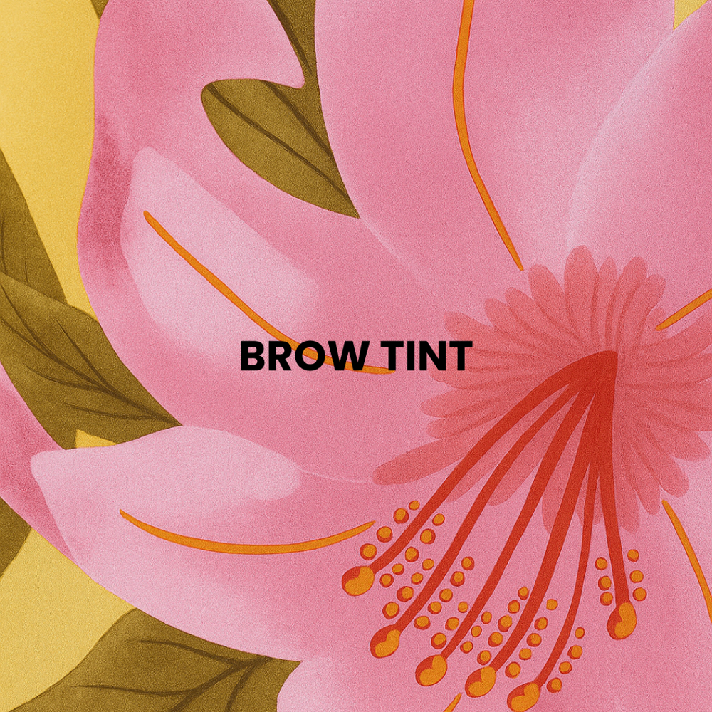 Brow Tint at Archemy Brows & Beauty in Anchorage, AK