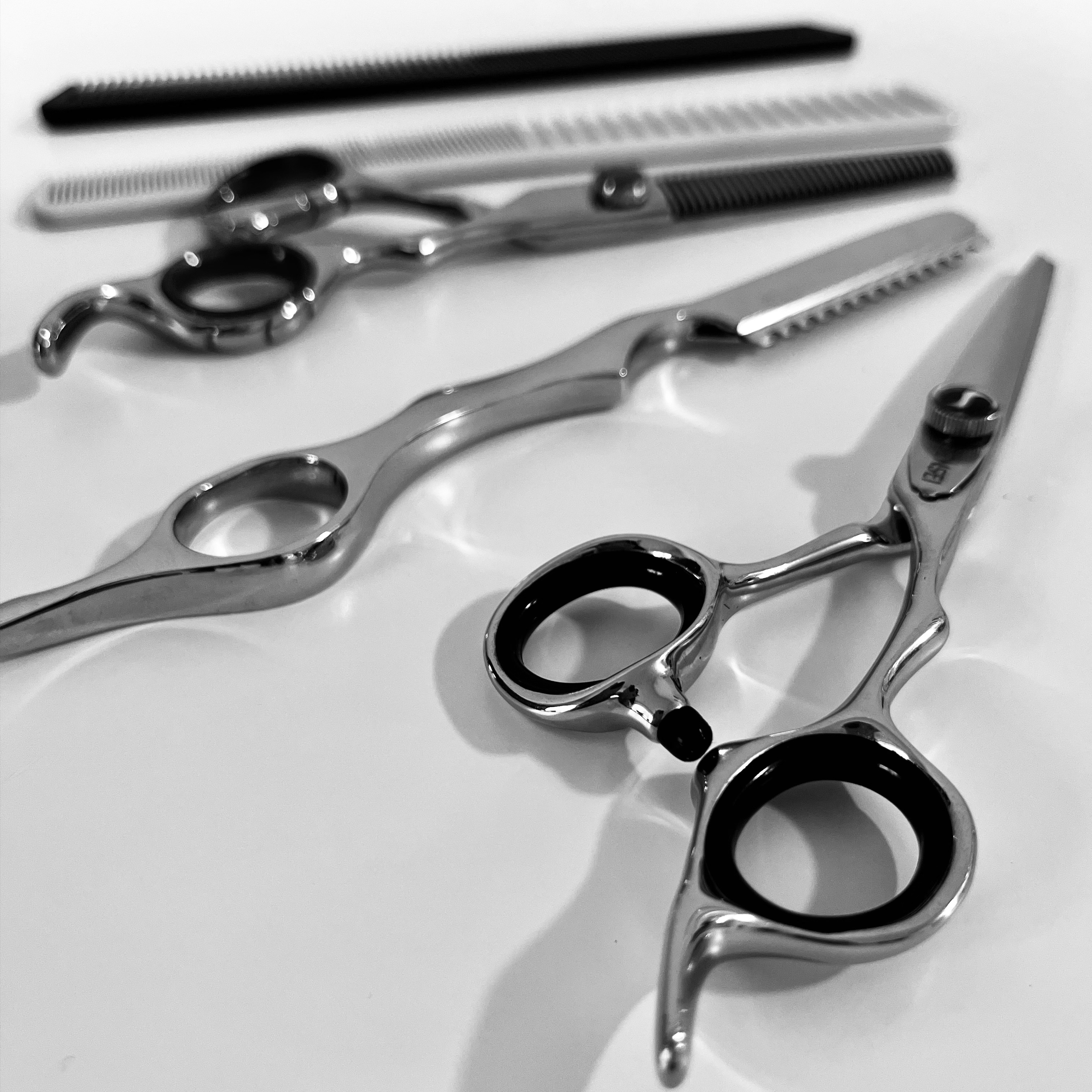 Medium Haircut (chin to shoulders) at Tress & Treble in Marlboro, NY