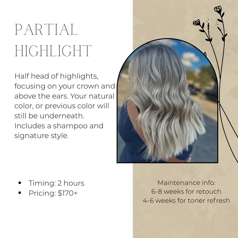 Partial Highlight at Carley’s Color Lounge in Fort Worth, TX