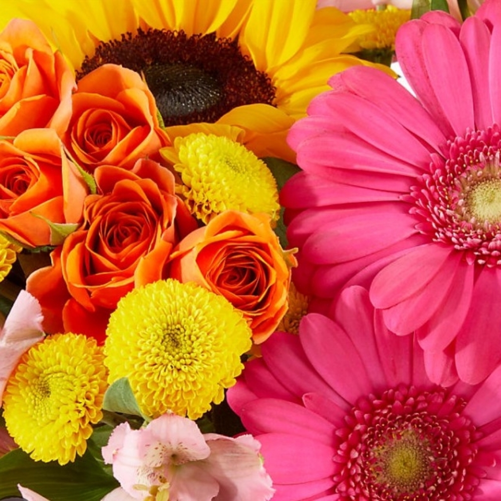 🌻May special 🌻 at The Regulated Body LLC in Blue Springs, MO