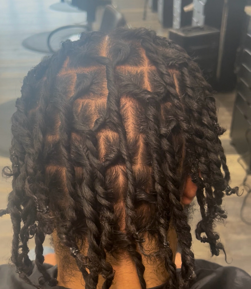 Starter Locs