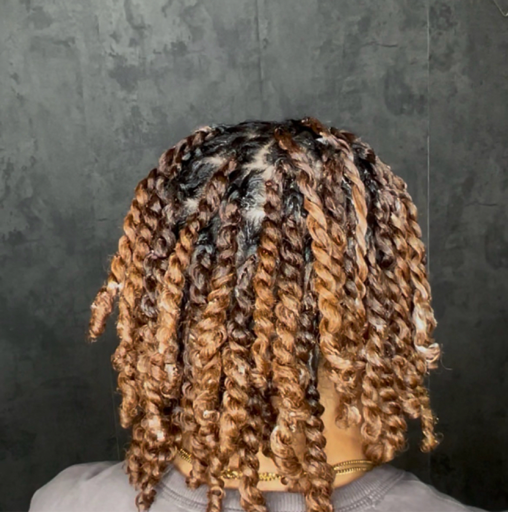 Starter Locs at Dolledbythebratt in Fairborn, OH