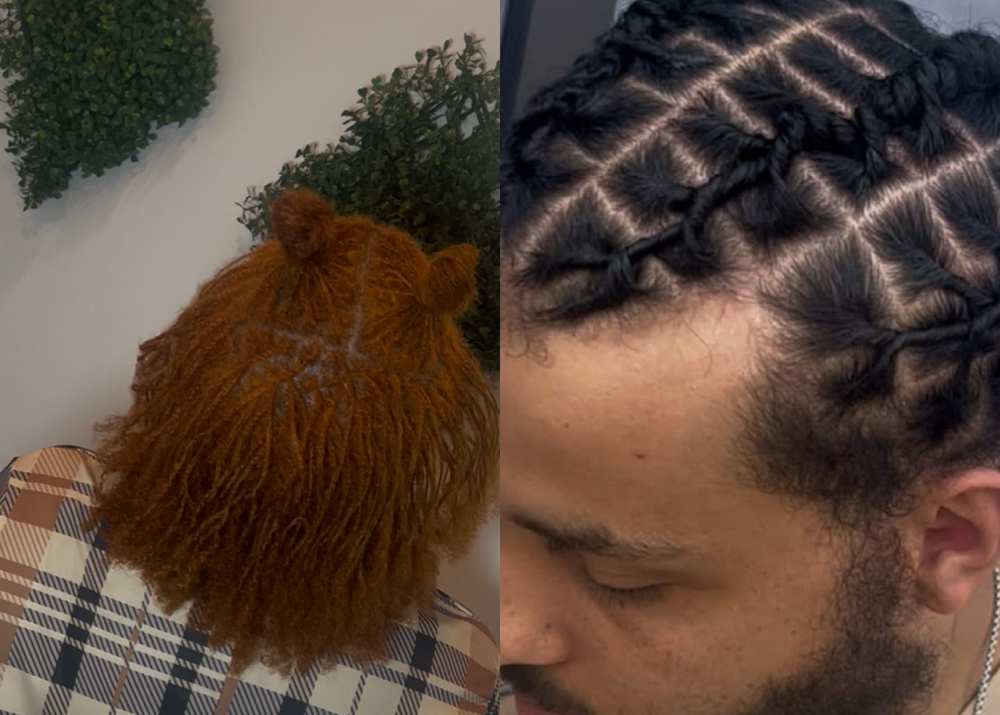 Starter Locs