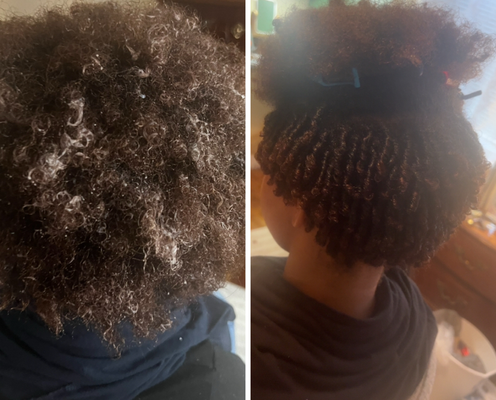 Starter Locs