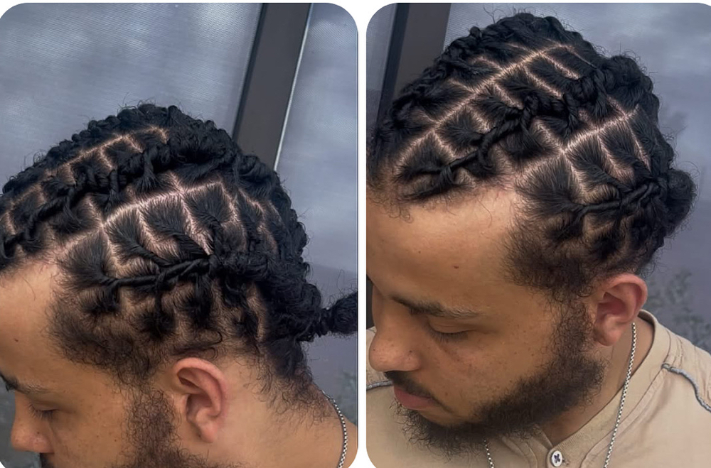 Starter Locs