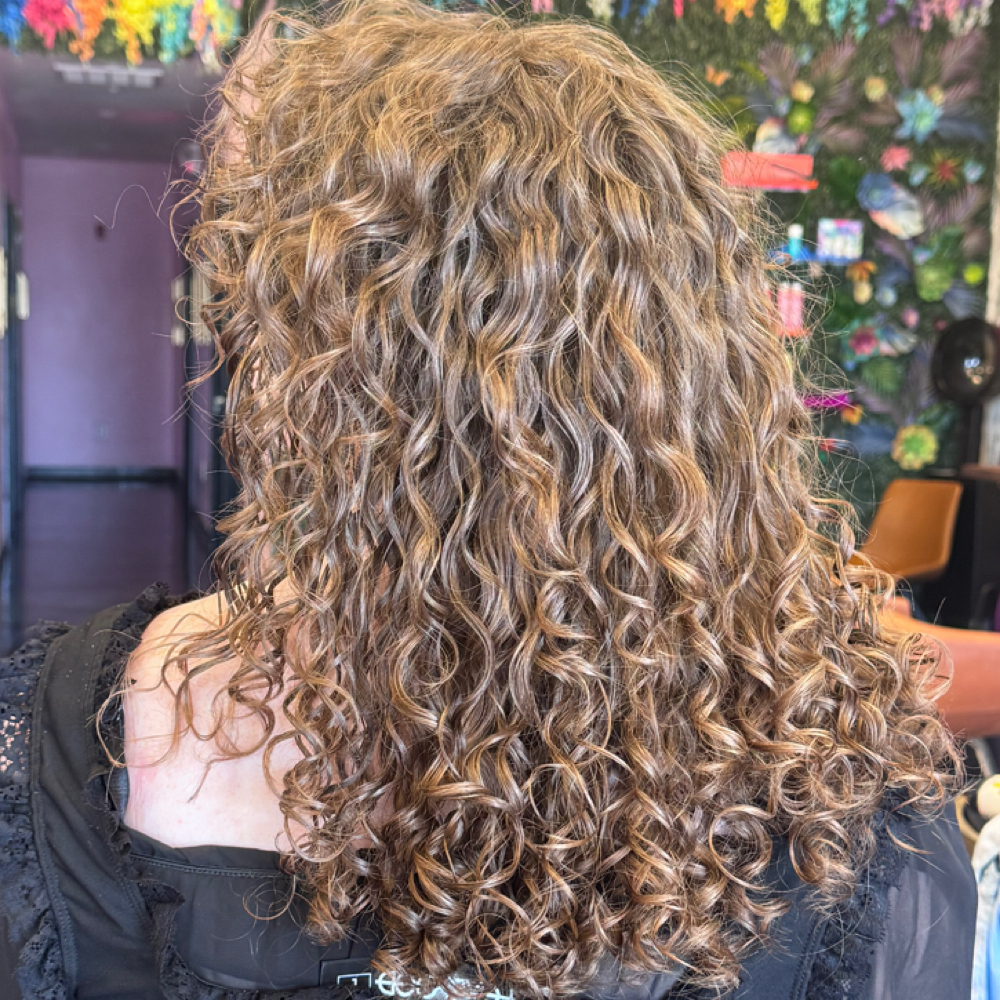 Introductory Volumizing Curl Cut at Elle Louise in Gulfport, MS