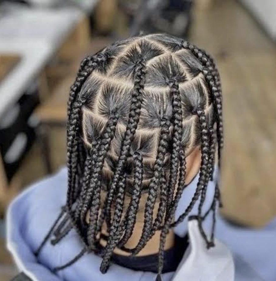 Male Box Braids at Divine Design Studio in Stone Park, IL
