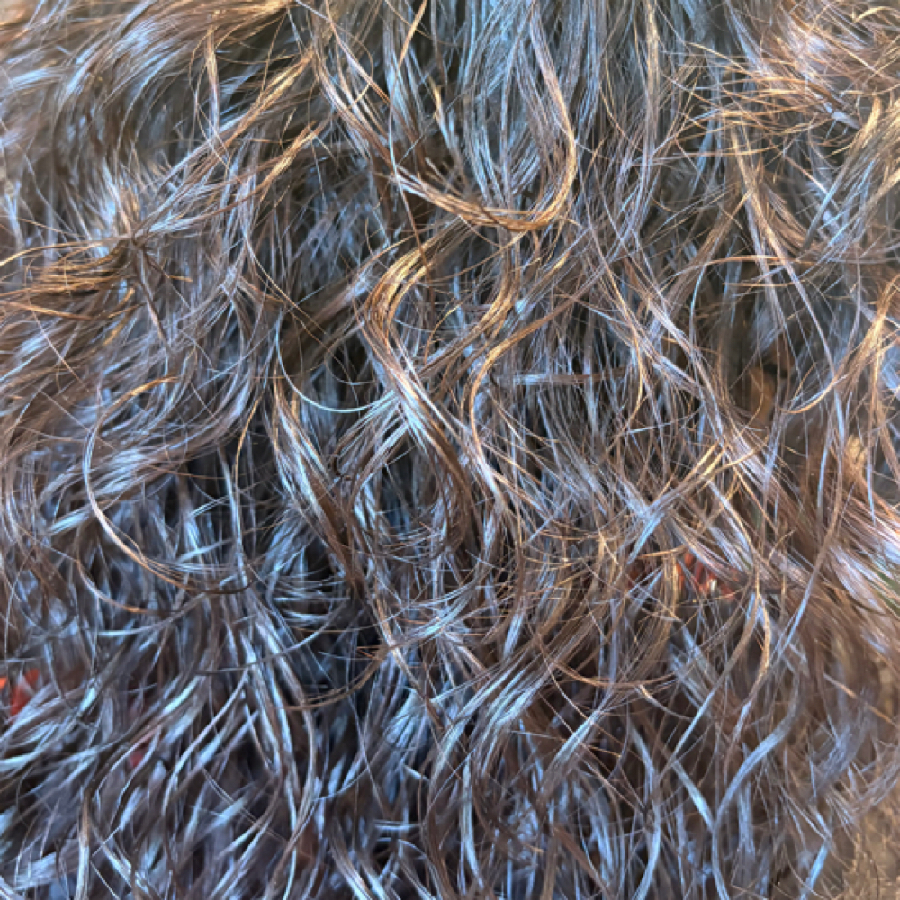 Curl Diffusion at Maxx Lee Studio in Staten Island, NY