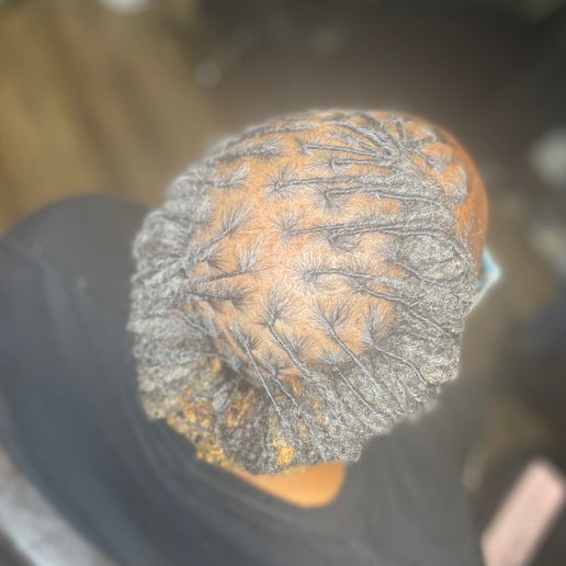 Starter Locs at Stepping into Realiti in Chattanooga, TN