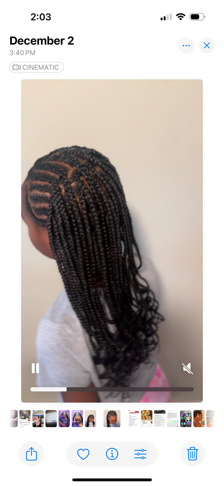 Fulani Braids