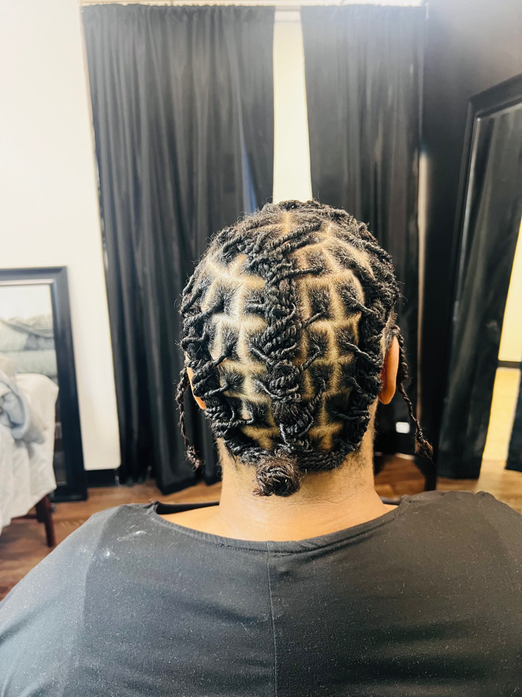 Starter Locs