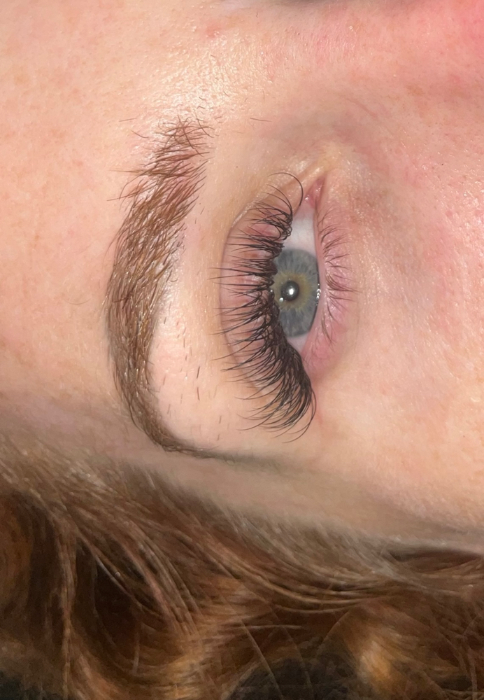 Classic Lash