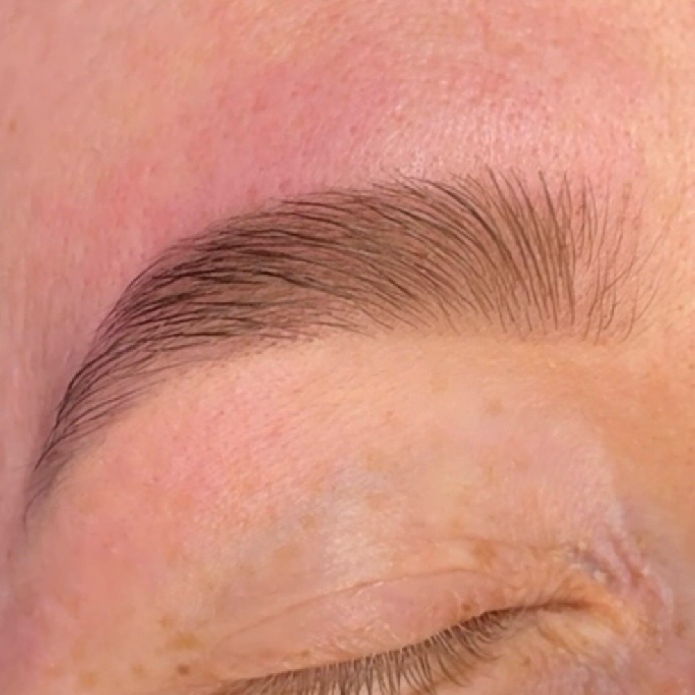 Brow Shaping & Tint at Stingers Tattoo and More in Boise, ID