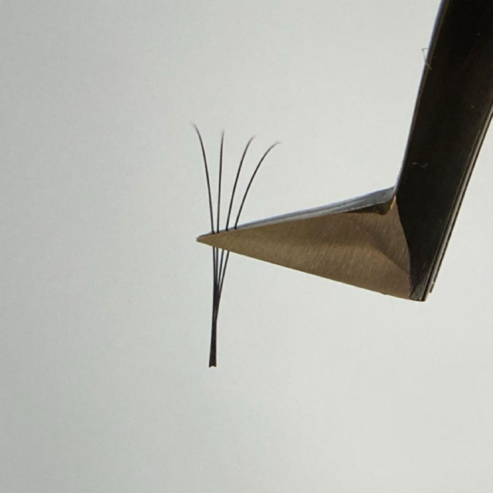 Lash Removal at Frayed Knot Salon in Ulysses, KS