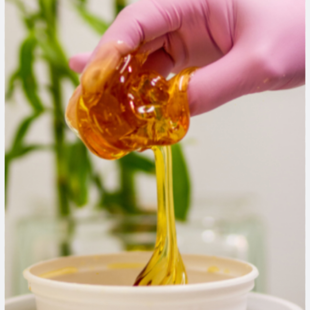 Sugaring Services at Avery Smith- Harmony Ambellish South in Marshalltown, IA